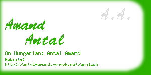 amand antal business card